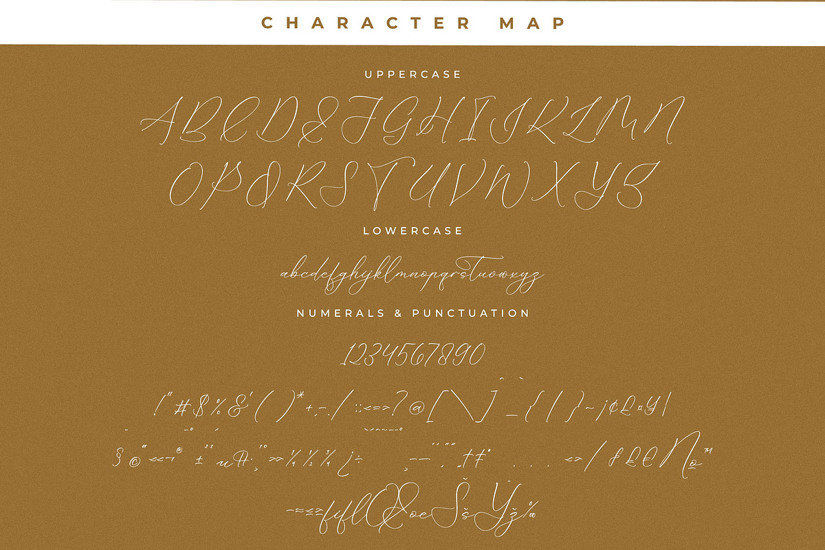 Portterda Modern Calligraphy Font, a Script Font by Storytype Studio (Photo 13 of 15)
