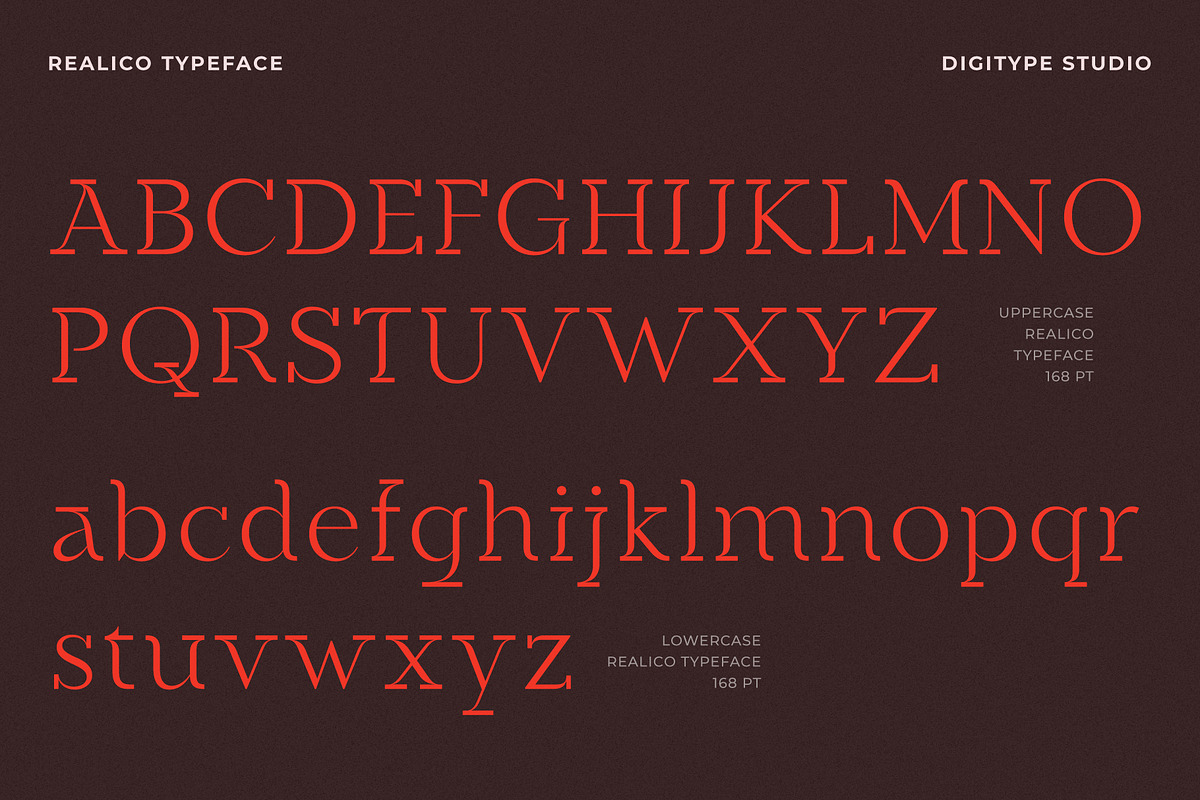 Realico Font, a Font by Digitype Studio (Photo 9 of 10)