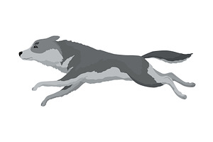 Cute gray wolf pose. Cartoon, an Animal Illustration by the8monkey