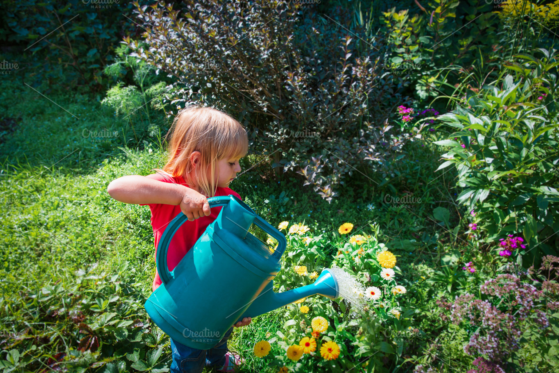 kid watering flowers in garden, a Person Photo by Nadezhda_Prokudina