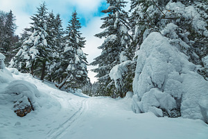 Amazing winter landscape, a Nature Photo by Alpine Dreams