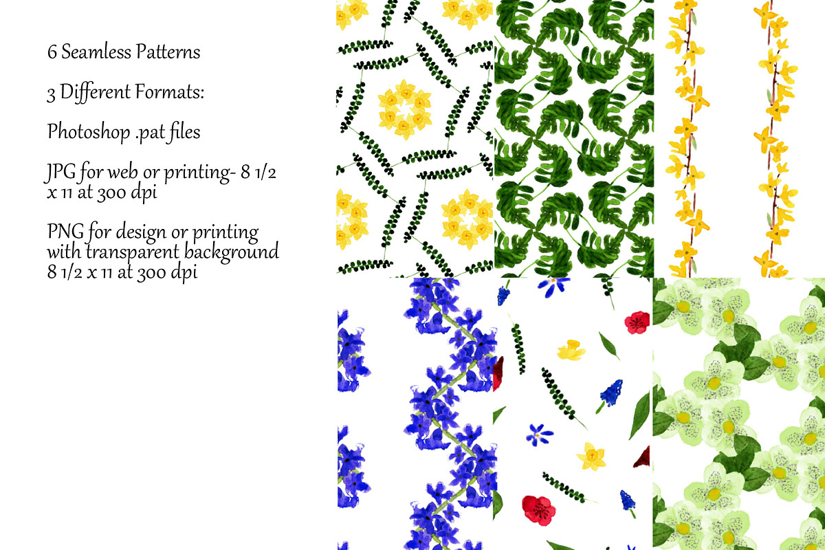 The Cottage Garden in Early Spring, an Illustration by Juliet Chase (Photo 9 of 11)