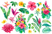 Tropical flora, a Texture Illustration by Sundra (Thumbnail 3 of 15)