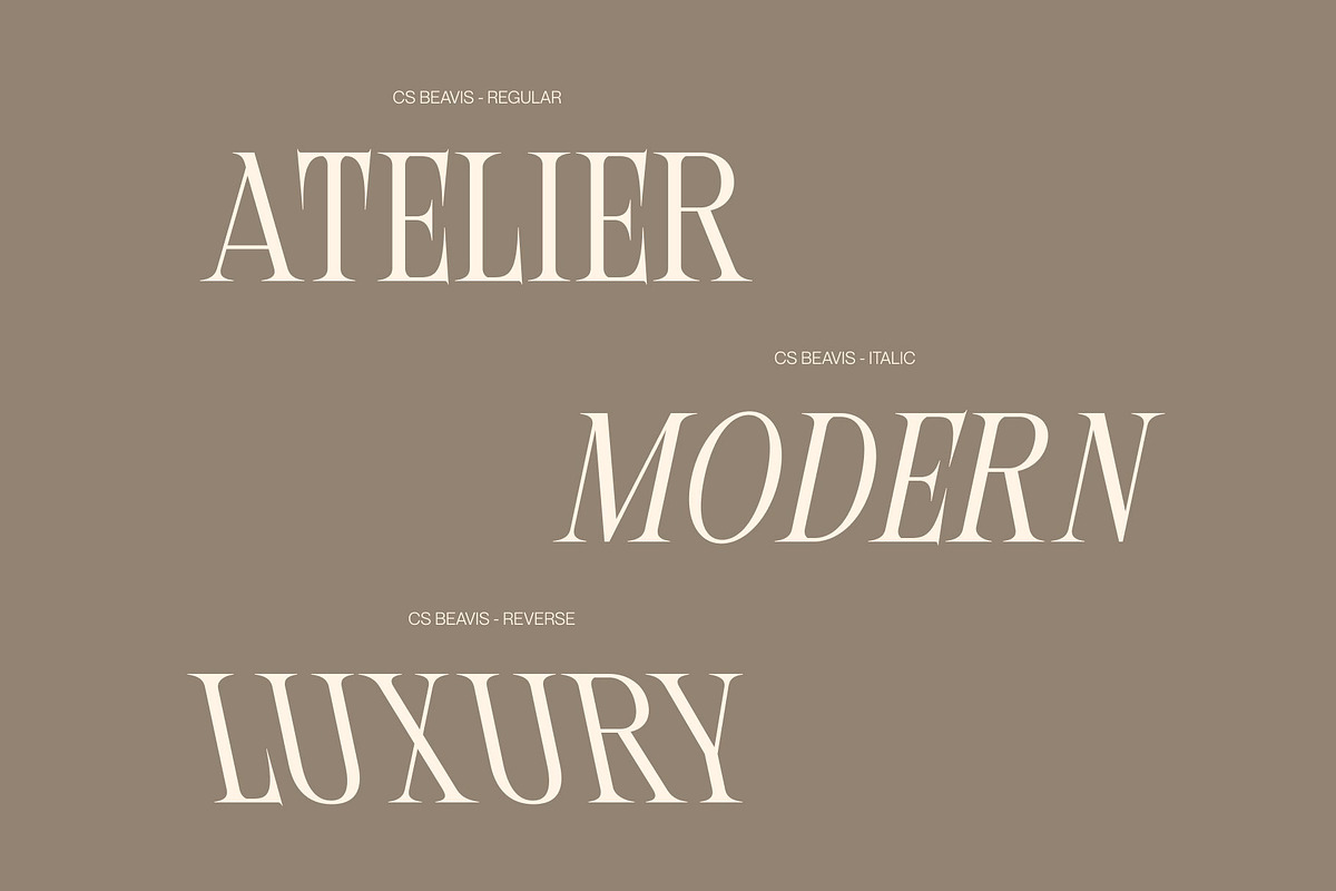 CS Beavis – Modern Serif Font, a Serif Font by Craft Supply Co. (Photo 3 of 8)