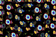 Floral 12 Textile Patterns Bundle, a Pattern Graphic by Aban's World (Thumbnail 10 of 13)