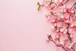 Elegant banner with flowers on light, a Photo by Pavel_design