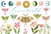 Luna moth clipart & pattern, an Animal Illustration by Yelloo Fish (Thumbnail 1 of 11)