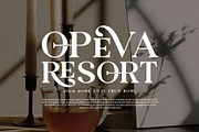 Roske Orkes Serif Font, a Serif Font by Perfectype (Thumbnail 3 of 9)