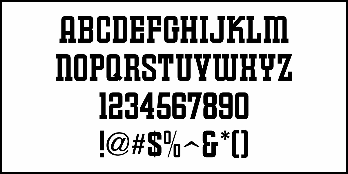 Training Film JNL, a Slab Serif Font by Jeff Levine Fonts (Photo 3 of 5)