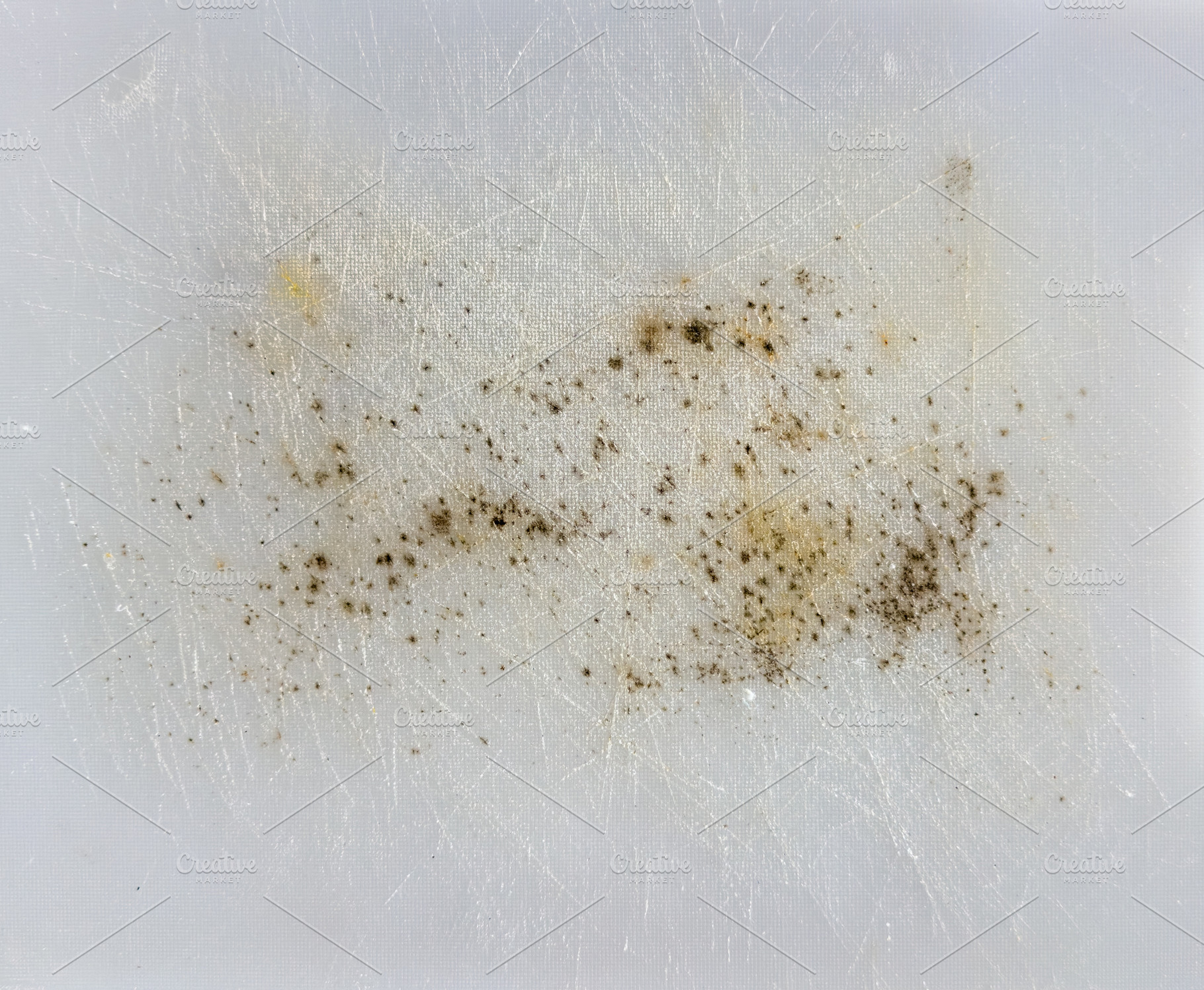 Mold Spores Growing Background, a Background Photo by THP Creative