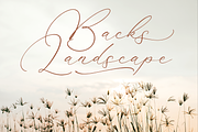 Madyntha Geradine Chic Calligraphy, a Script Font by Storytype Studio (Thumbnail 3 of 15)