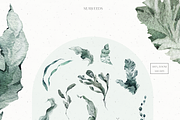 Underwater Watercolor Collection, an Animal Illustration by Cat In Colour (Thumbnail 5 of 9)