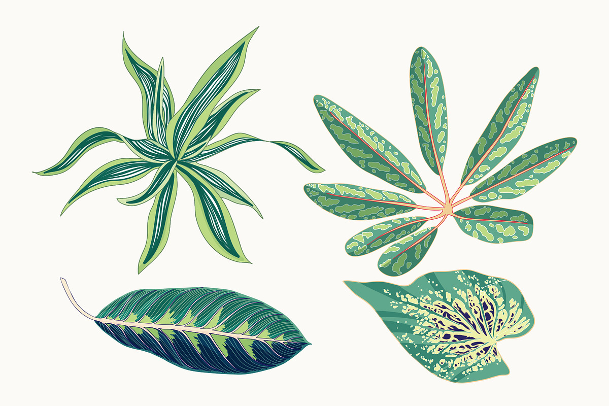 Green Leaves Vector Clip Art, a Decorative Illustration by Ania Illustration (Photo 4 of 4)