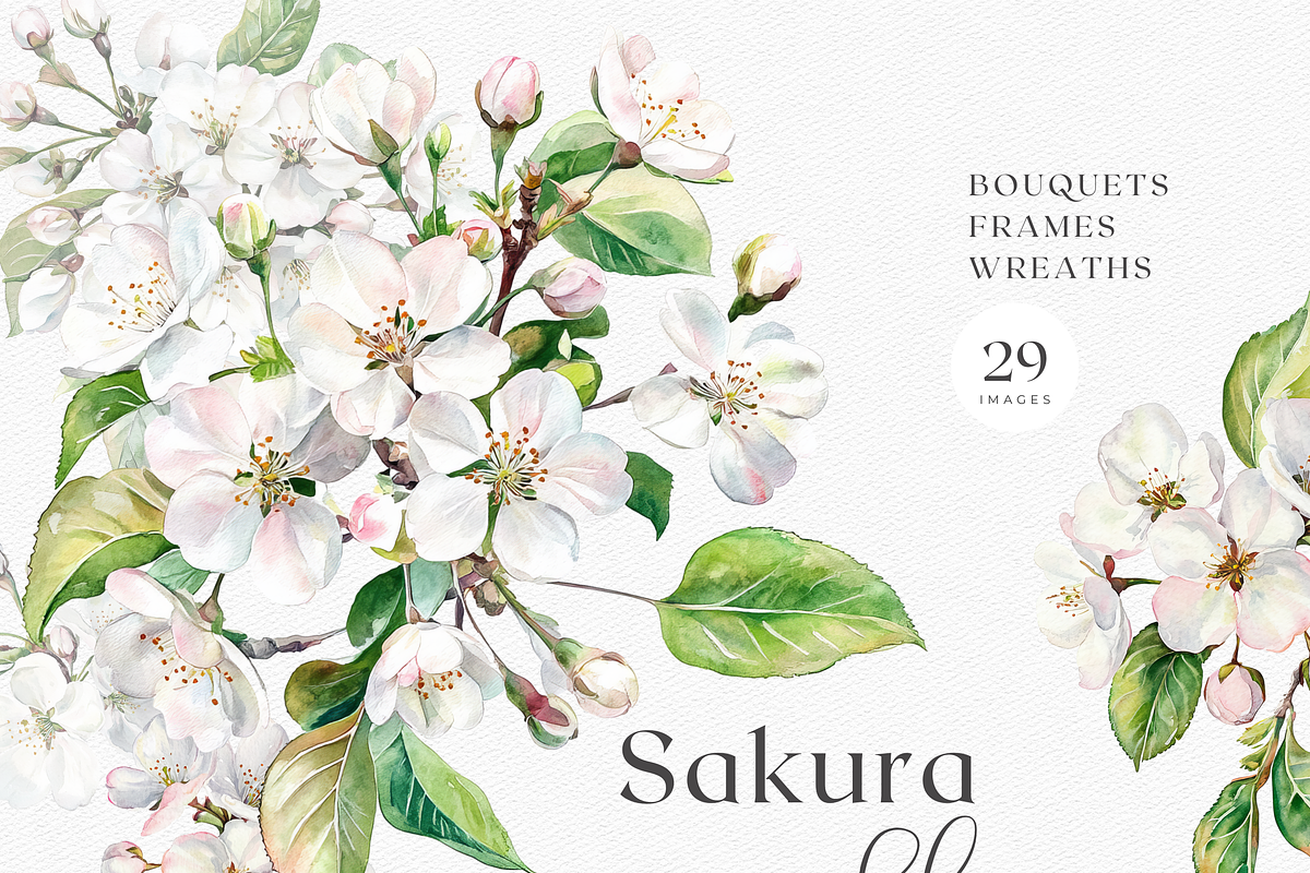 Sakura Bloom - Cherry Blossom, a Decorative Illustration by ThaismotaCreativeCo (Photo 1 of 9)