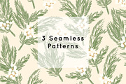 Winter Holiday Foliage, an Illustration by Shiny Penny Studio (Thumbnail 5 of 10)
