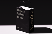 Ondine Modern Luxury Serif Font, a Serif Font by Rasio Studio (Thumbnail 9 of 9)