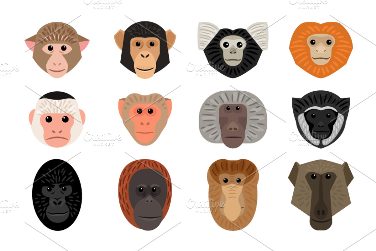 Monkeys, an Icon by ianakauri (Photo 3 of 4)