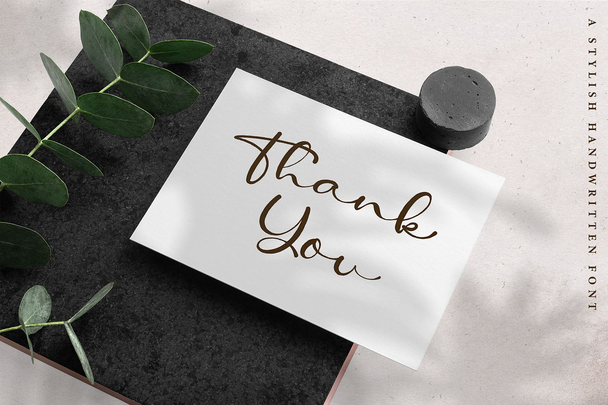 Amelia Stanley - Signature Script, a Script Font by Kotak Kuning Studio (Photo 10 of 10)