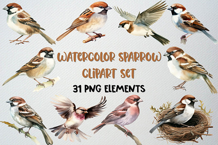 Watercolor Sparrow Clipart Set, an Animal Illustration by CropUp Creative