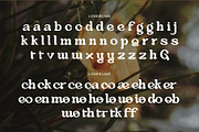 Aloevera - Modern Retro Serif, a Serif Font by Salamahtype (Thumbnail 8 of 10)