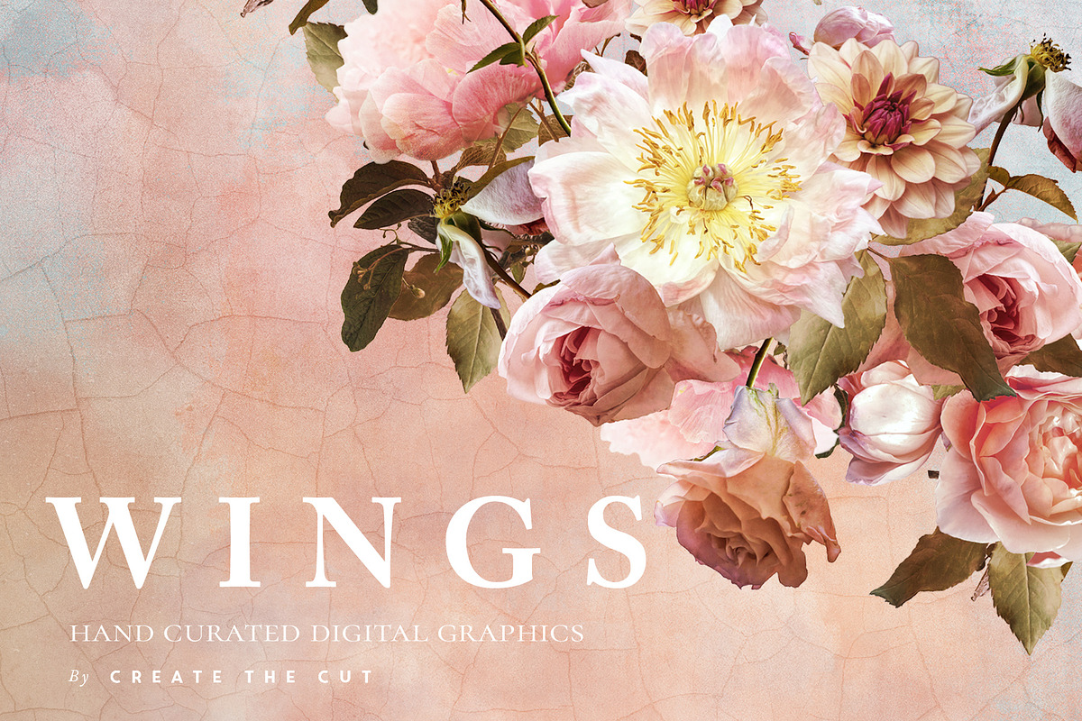 Digital Flower Clip Art - Wings, an Illustration by Create The Cut (Photo 5 of 10)