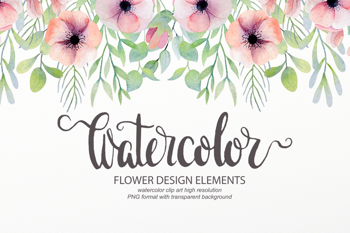 Watercolor floral design elements, an Illustration by rosypatterns (Photo 1 of 10)