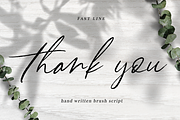 Fast Line Brush Script, a Script Font by Quothron (Thumbnail 8 of 8)