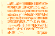Bergurau Typeface, a Serif Font by Bagerich Type Foundry (Thumbnail 2 of 7)