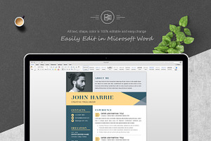 Resume Template For MS Word, Apple