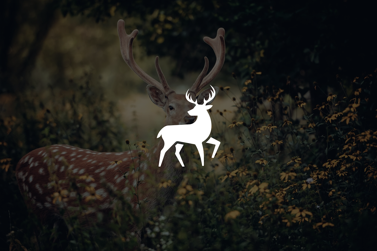 Minimalist Modern Deer Logo, a Branding & Logo Template by Luxury Logos (Photo 2 of 4)