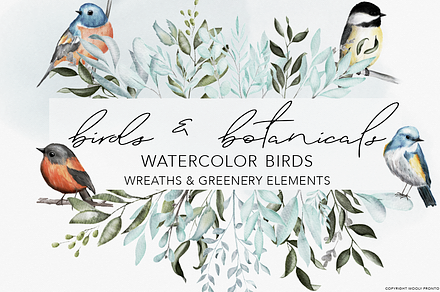 Birds & Botany: Watercolor Frames