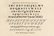 Quiet Story OrganicScript & Serif, a Script Font by Letterhend Studio (Thumbnail 5 of 10)