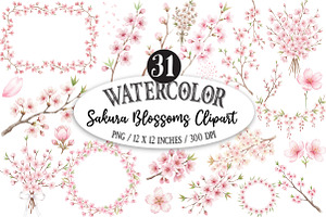 Watercolor Sakura Blossoms Clipart, an Illustration by Designking