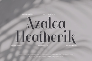 Stetling - Elegant Modern Serif Font