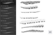Procreate Fur 45 Brush Pack, a Brush Add-On by CC CREATIVE CO (Thumbnail 12 of 12)