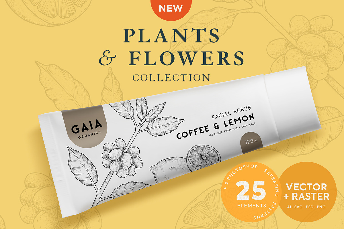 Plants & Flowers Collection, a Decorative Illustration by Sinclair Creative Agency (Photo 1 of 8)