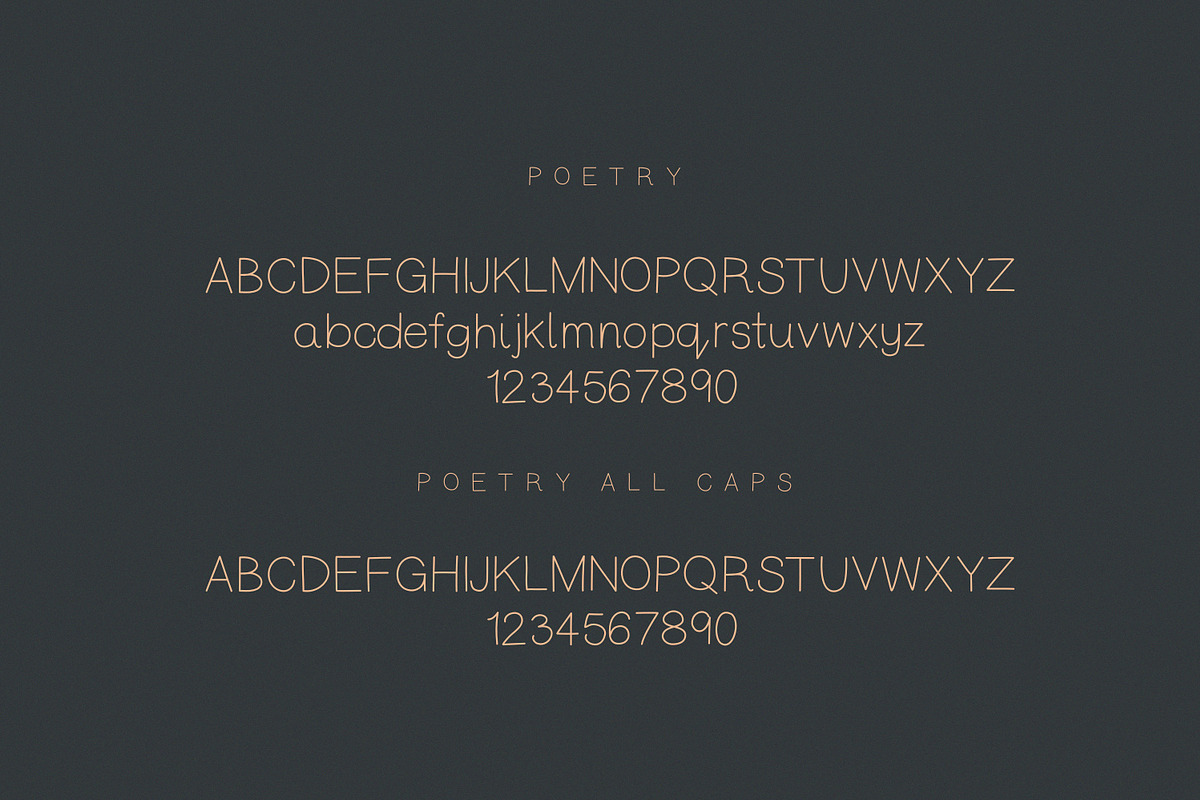 Poetry | Modern Minimal Sans Duo preview 8