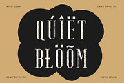 Riffle Rough, a Serif Font by Craft Supply Co. (Thumbnail 5 of 8)