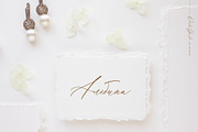 Wonder Garden | Latin&Cyrillic Font, a Script Font by Calamar Studio (Thumbnail 12 of 16)