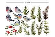 Watercolor Winter Birds and Branches, an Illustration by RalucaGheorghe (Thumbnail 3 of 4)