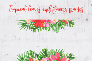 Tropical Leaves And Flowers Clipart