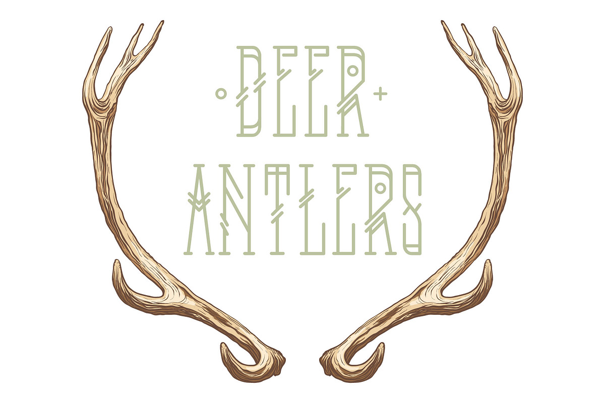 Deer antlers collection., an Animal Illustration by ArtOwl (Photo 1 of 8)