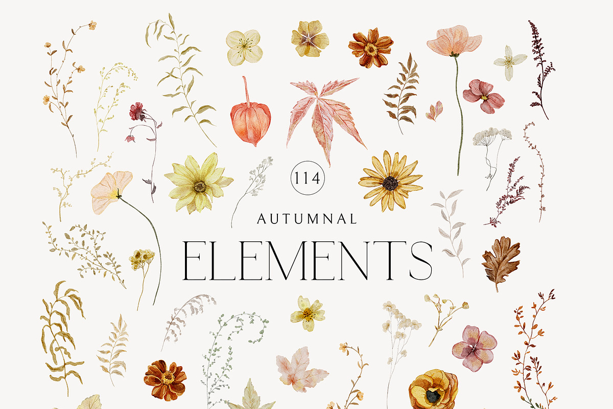 Rustic Fall Watercolor Dried flowers, a Decorative Illustration by SunnyAfternoons (Photo 7 of 14)