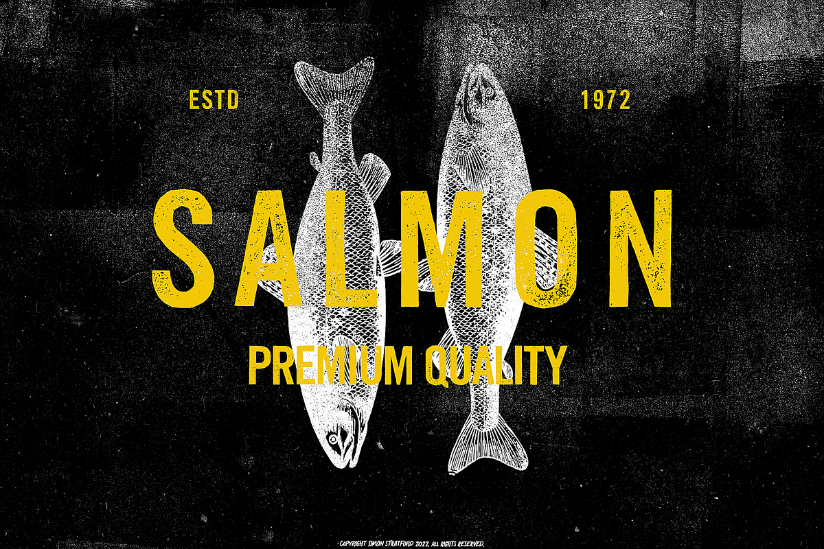 Display Font Lino Gothic, a Sans Serif Font by Itsmesimon (Photo 20 of 23)