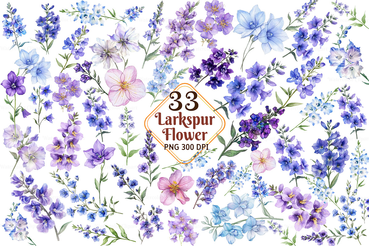 Larkspur Flower Watercolor Cliparts, an Illustration by Watercolor design (Photo 1 of 4)