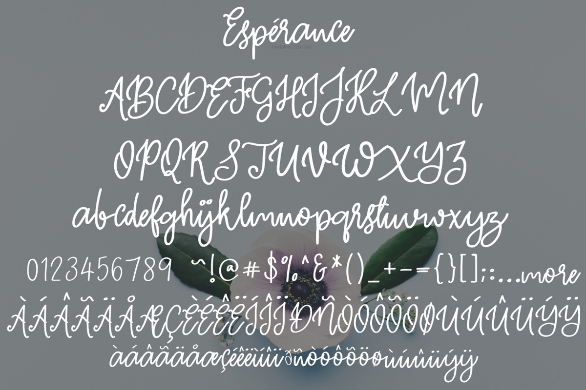 Esperance | Handwritten Font preview 7