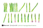 Watercolor Asparagus Clipart, a Food Illustration by crafty (Thumbnail 4 of 5)