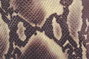 Scales & Skins Textures, a Texture Graphic by Blue Line Design (Thumbnail 2 of 5)