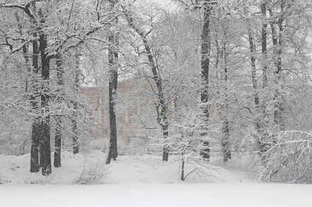 Landscape of a winter park under a thick layer of snow, a Nature Photo by Textures & Backgrounds