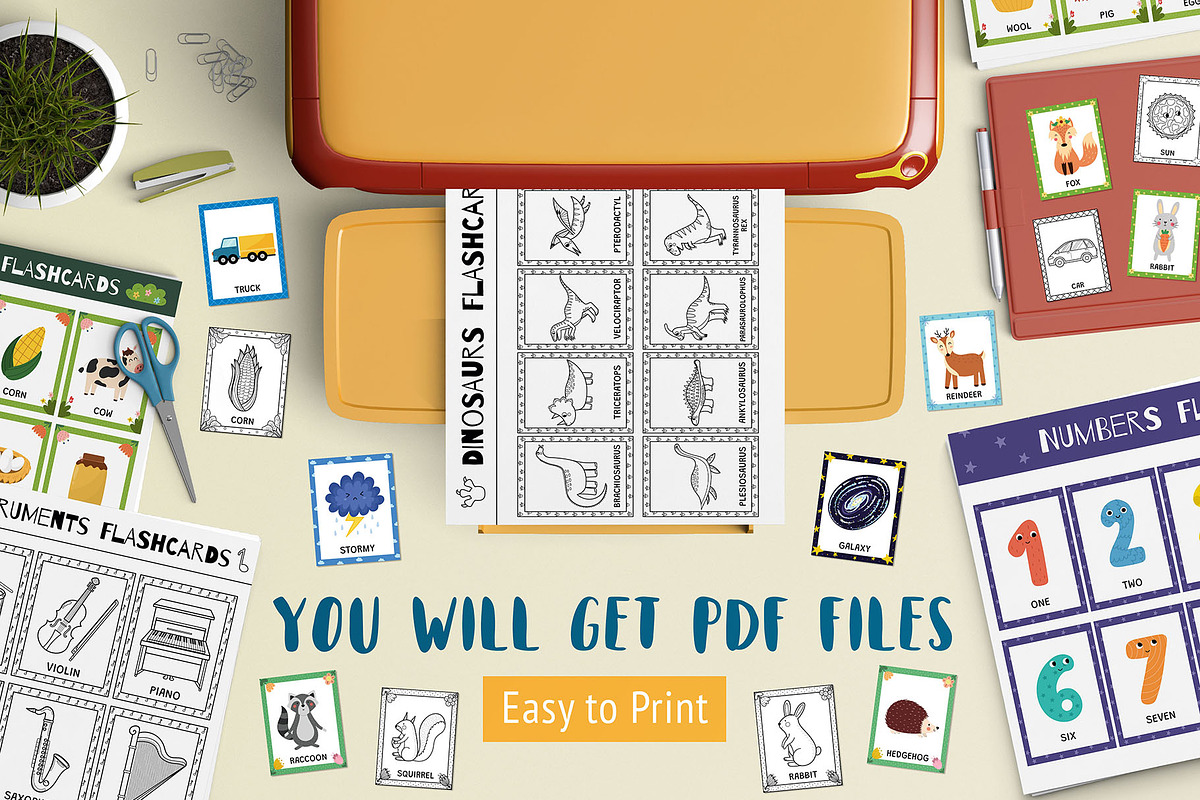 Flashcards for Kids Bundle: 570 in 1, an Education Illustration by Gulnara Sabirova (Photo 4 of 48)